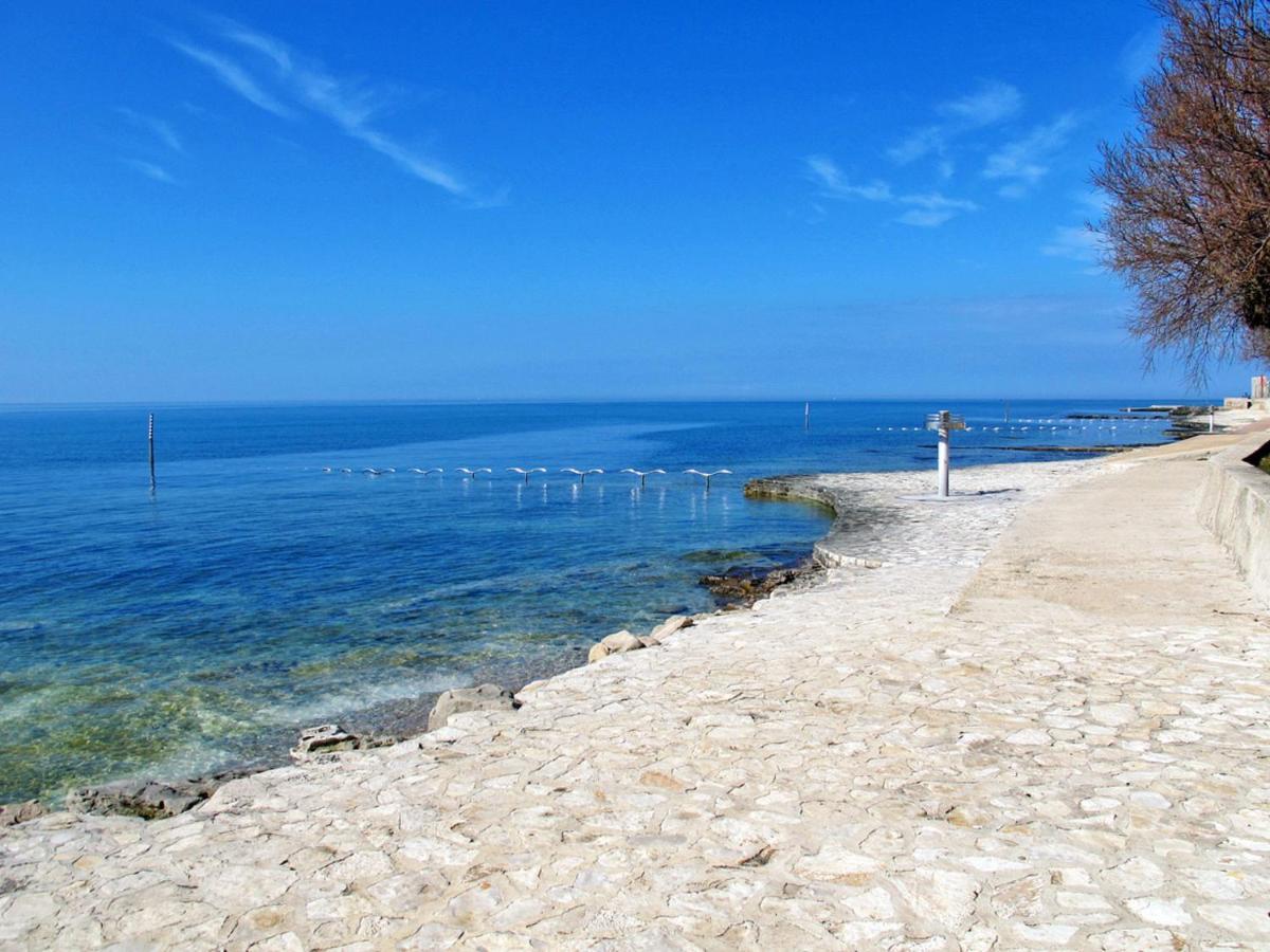 Apartment Marina - Nvg115 By Interhome Novigrad  ภายนอก รูปภาพ